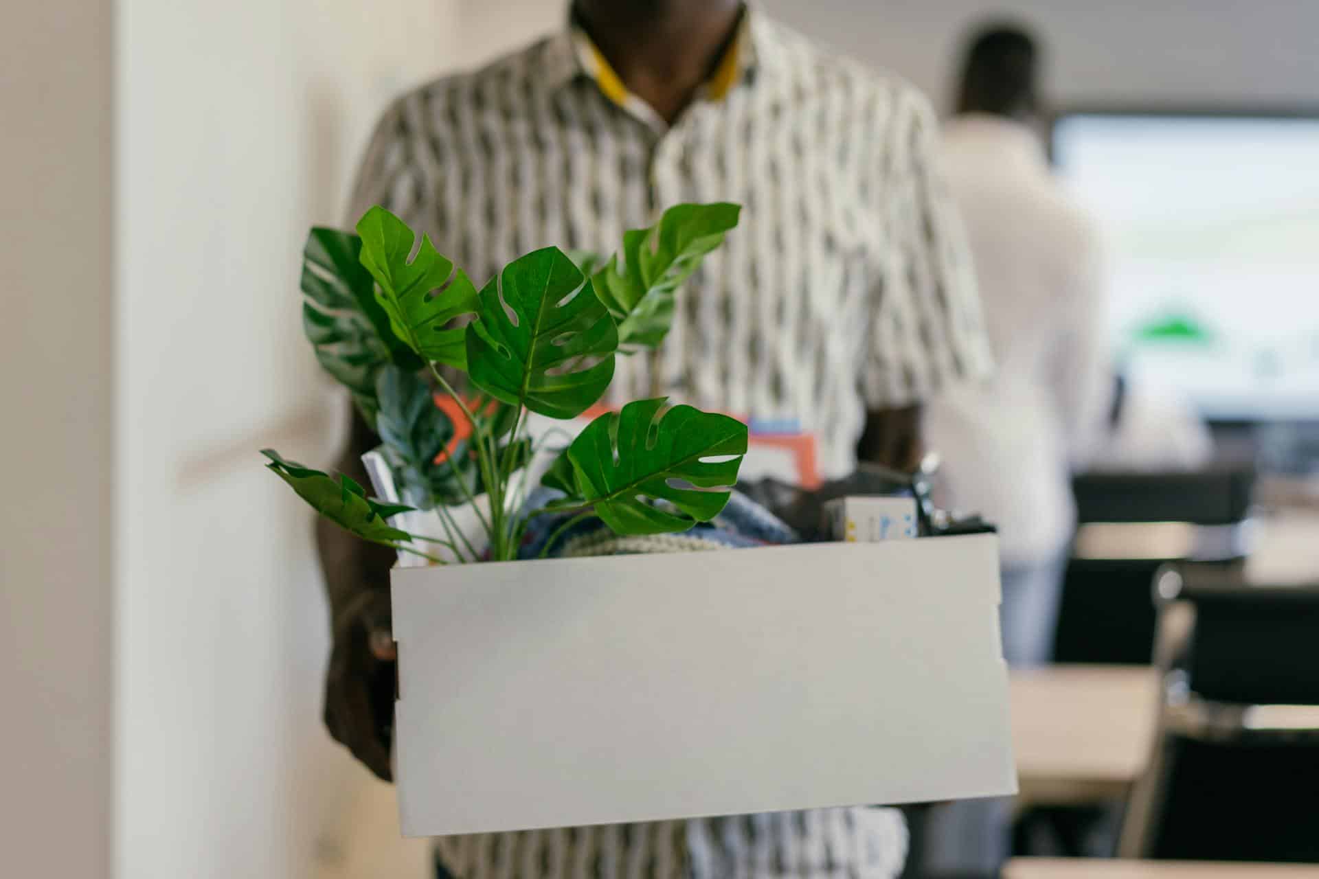 How to Move a Small Business in Hampton Roads Without Losing a Workday